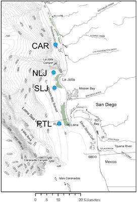 Persistence of southern California giant kelp beds and alongshore variation in nutrient exposure driven by seasonal upwelling and internal waves